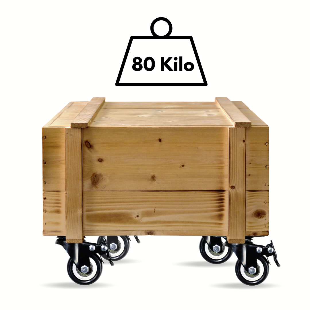 FROSAL Lenkrollen mit Bremse | ø50mm | 80kg Tragkraft | 360° drehbar - 4er Set