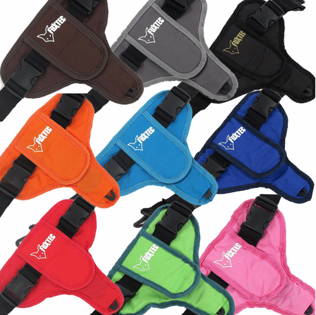 FUXTEC - Anschnallgurt - Sicherheitsgurt Bollerwagen