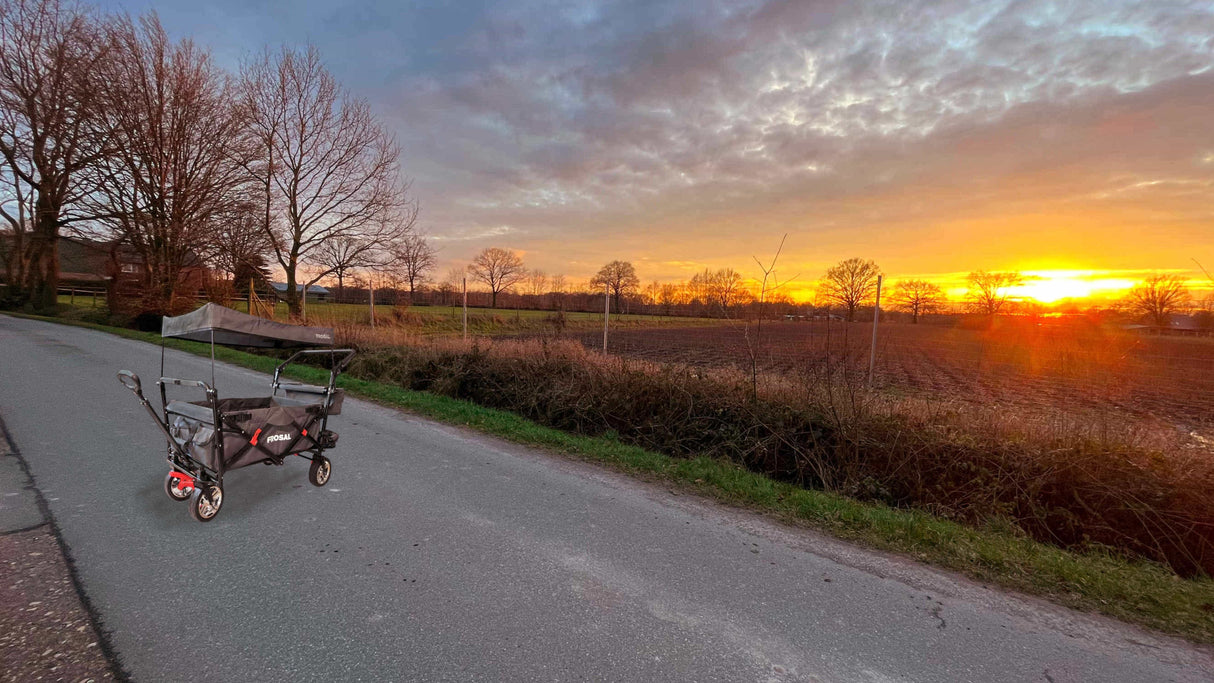 FROSAL Faltbarer Bollerwagen Leo mit Sonnendach und Stauraumerweiterung