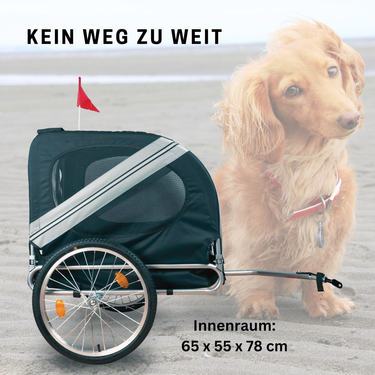 FROSAL Fahrradanhänger Lukas für Hunde Hundeanhänger
