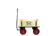 Beachtrekker Style Pirat