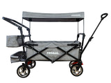 Bollerwagen FROSAL Leo silbergrau soft