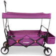 FUXTEC Bollerwagen FX-CT350 Purpur