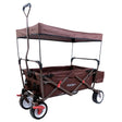 FUXTEC Bollerwagen FX-CT350 schokobraun