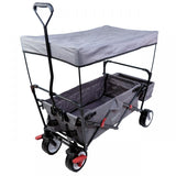 FUXTEC Bollerwagen FX-CT350 grau