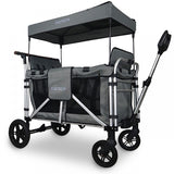 FUXTEC 4-Sitzer XL Luxus Bollerwagen FX-CTXL900 Grau